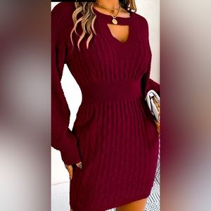 Maroon sweater dress